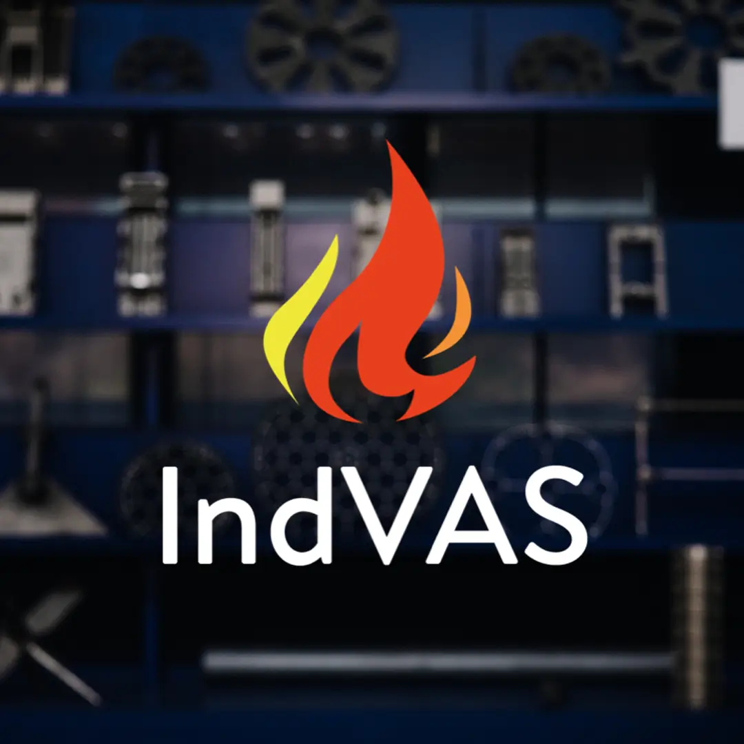 Bild mit Logo Team Indvas
