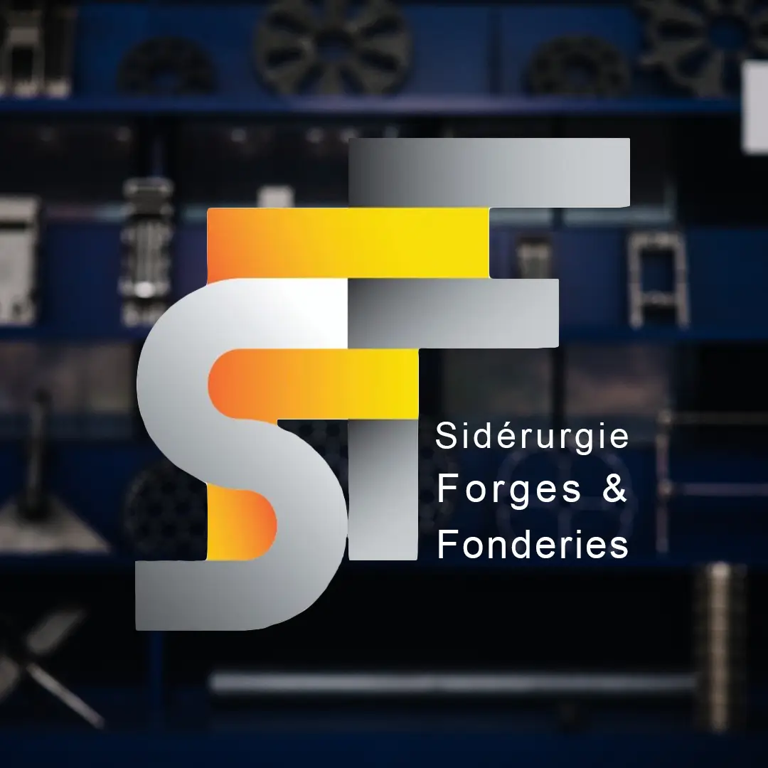 Bild mit Logo Team SFF